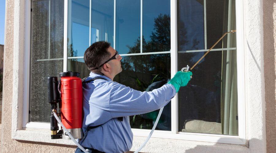 Professional wasp nest removal services in Oxon Hill - Oxon Hill Wasp Nest Removal