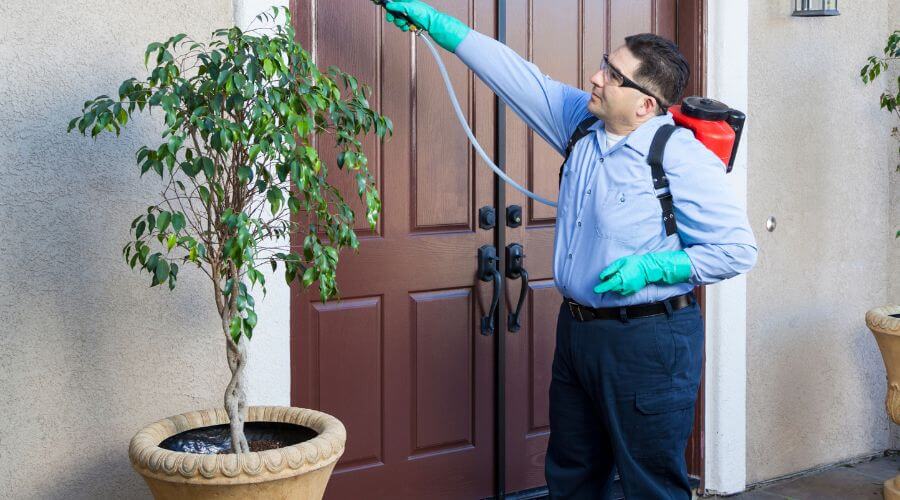 Why choose Oxon Hill Wasp Nest Removal for wasp nest removal in Oxon Hill